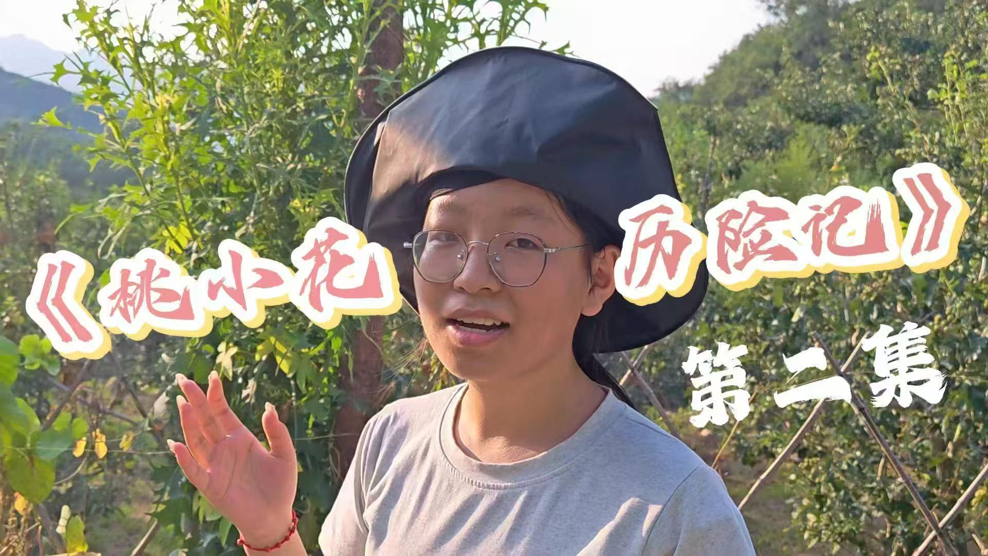 乡村教师访谈录视频封面