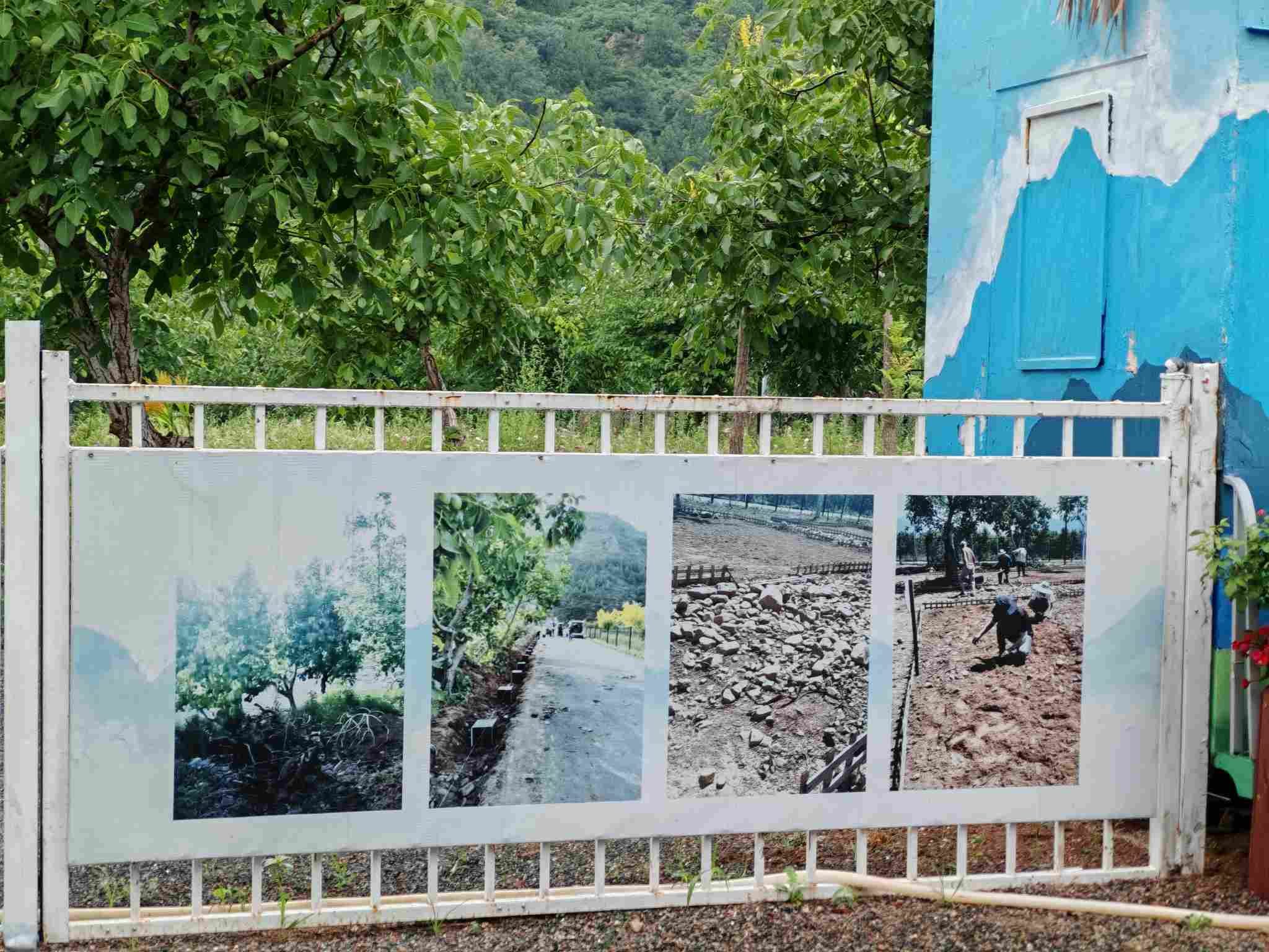 问卷调查